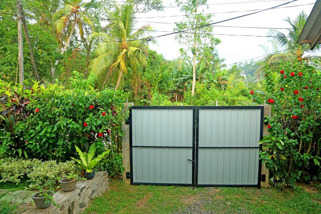 Global Lake Villa Hikkaduwa Ngoại thất bức ảnh