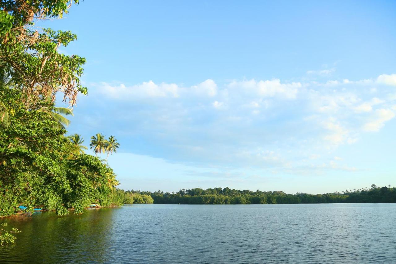 Global Lake Villa Hikkaduwa Ngoại thất bức ảnh