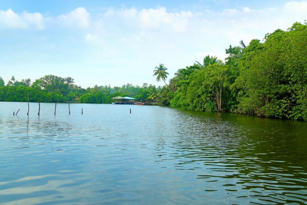 Global Lake Villa Hikkaduwa Ngoại thất bức ảnh